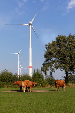 Windkraftanlage Lager Feld